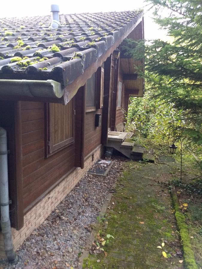 Landhaus Mit Saunakeller Bad Wunnenberg Exterior photo